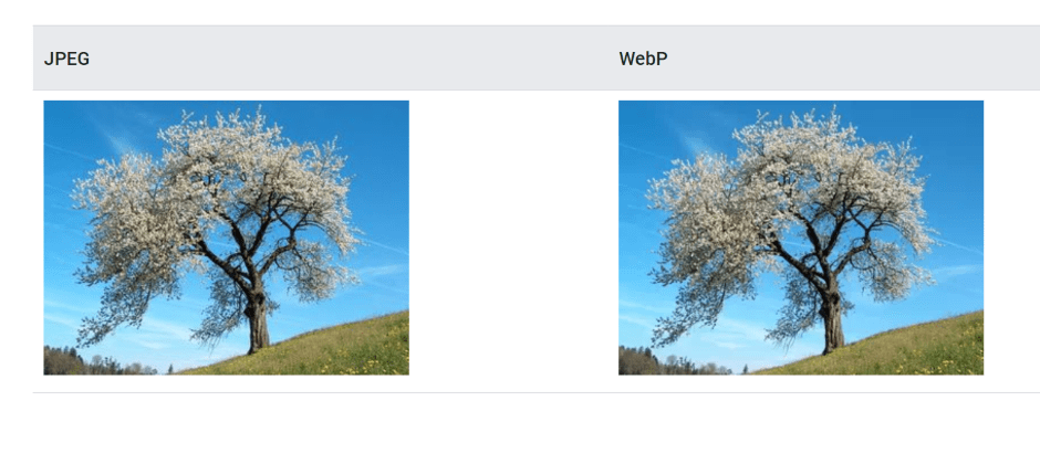 Сравнение между снимка във формат JPEG и друга в webp | Webselo.com™ – Уебсайтове, онлайн магазини и дигитален маркетинг Една снимка във формат JPEG и друга в Webp, сравнение