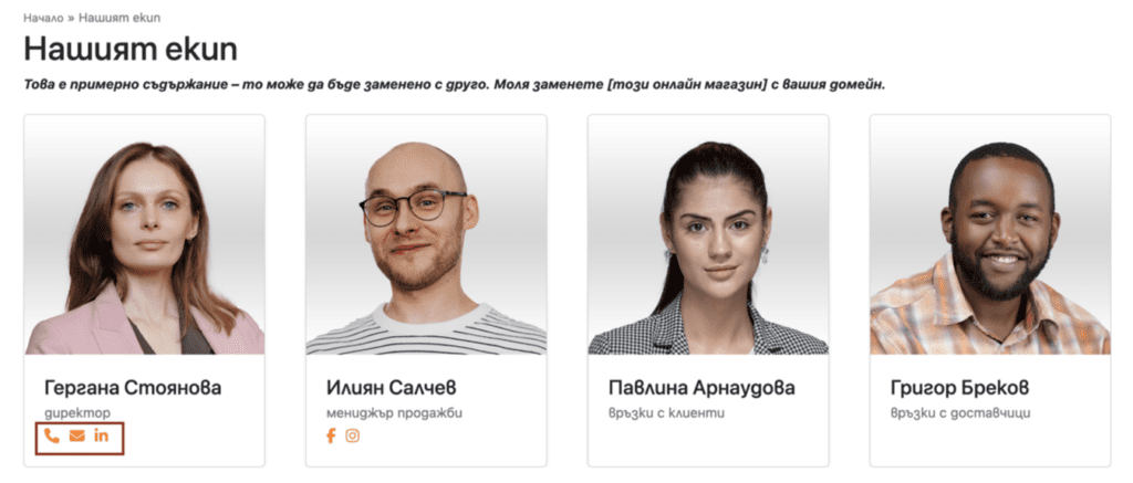 our-team-members | Webselo.com™ – Уебсайтове, онлайн магазини и дигитален маркетинг секция Екип за уебсайта