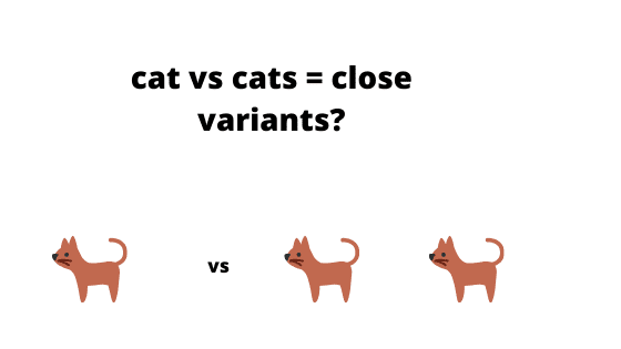 close variants: keywords on google ads