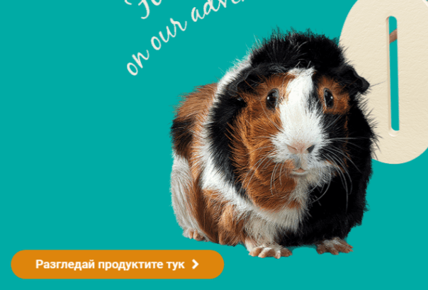 Пример за добър бутон с призив към действие